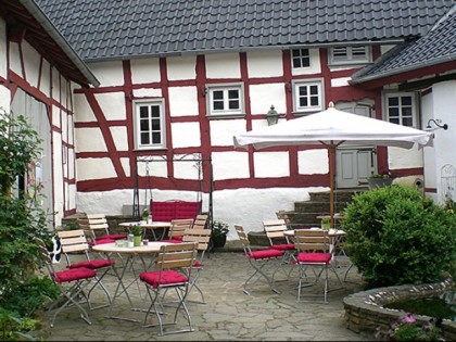 Foto: Alte Krähe